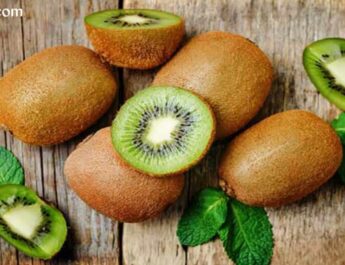 BUAH KIWI